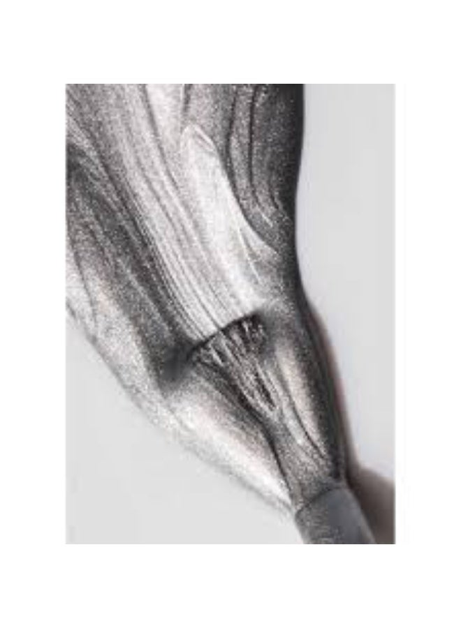 gitti no. 310 Nail Polish 15ml - Image 4